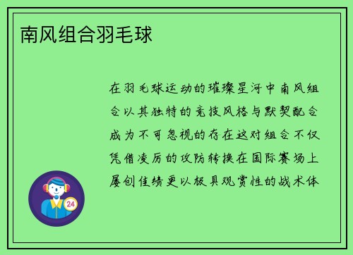 南风组合羽毛球